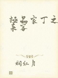 极品家丁之远方来客