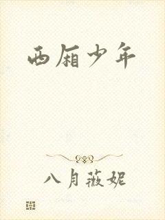 西厢少年封面