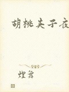 胡桃夹子夜未眠