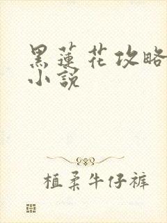 黑莲花攻略手册小说