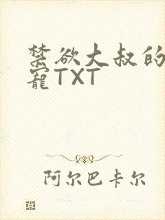 禁欲大叔的心尖宠TXT