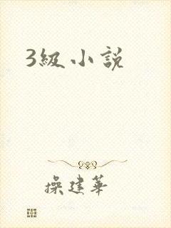 3级小说