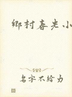 乡村春光小说