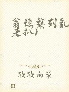 翁熄系列乱 (老扒)