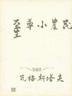 至尊小农民王木生