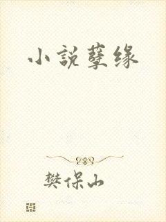 小说孽缘