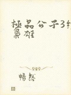 极品公子3续世枭雄