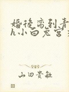 婚后脔到青梅哭h小白兔宫交h