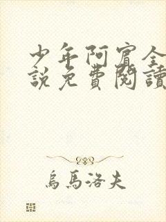 少年阿宾全文小说免费阅读笔趣阁