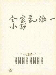 全家乱炖一锅烩小说