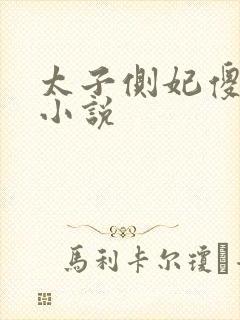 太子侧妃傻乎乎小说