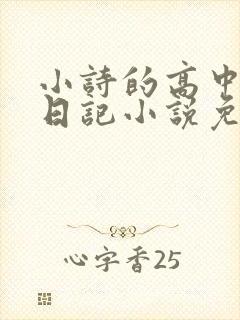 小诗的高中成长日记小说免费阅读