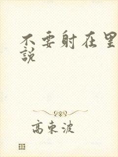 不要射在里面小说封面