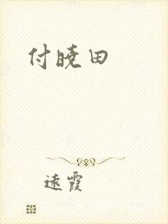 付晓田