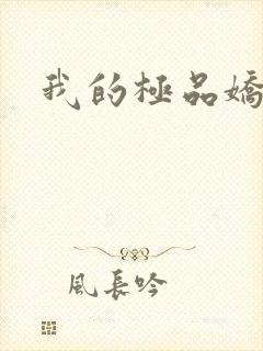 我的极品娇妻