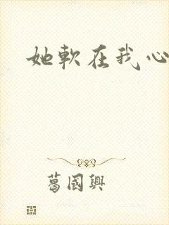 她软在我心上封面