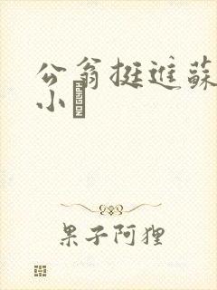 公翁挺进苏玥的小泬