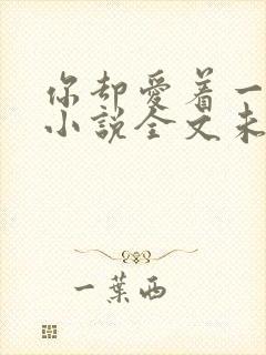 你却爱着一个他小说全文未删减免费