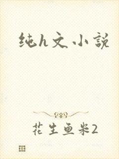 纯h文小说