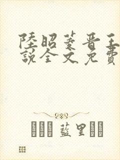 陆昭菱晋王的小说全文免费阅读