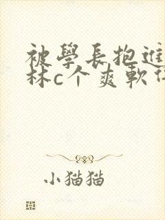 被学长抱进小树林c个爽软件