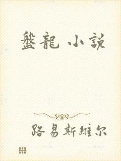 盘龙 小说