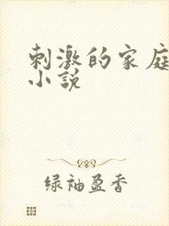 刺激的家庭乱仑小说