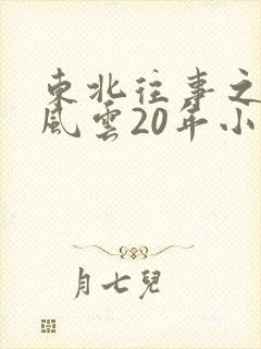 东北往事之黑道风云20年小说