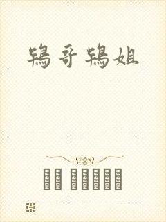 鸨哥鸨姐