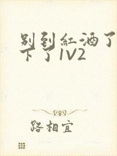 别到红酒了装不下了1V2