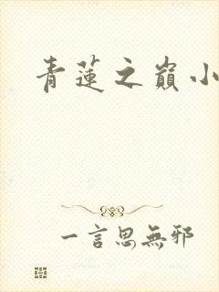 青莲之巅小说