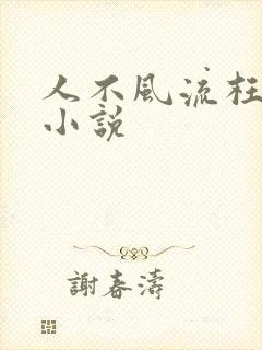 人不风流枉少年小说