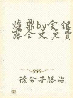 炉鼎by金银花露全文免费阅读笔趣阁