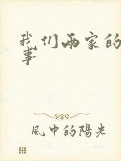 我们两家的荒唐事