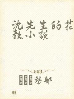 沈先生的花式管教小说