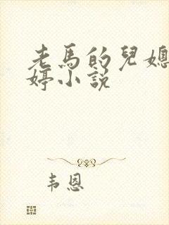 老马的儿媳顾婉婷小说