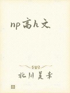 np高h文