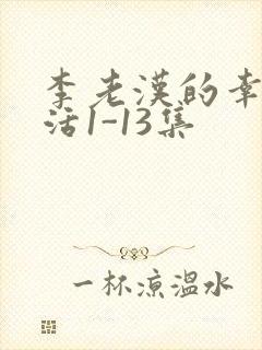 李老汉的幸福生活1-13集