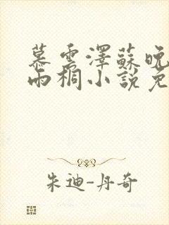 慕云泽苏晚晴夏雨桐小说免费阅读