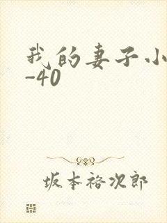 我的妻子小谨1-40