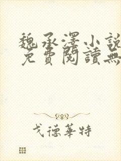 魏承泽小说全文免费阅读无弹窗笔趣