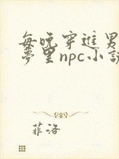 每晚穿进男神的梦里npc小说