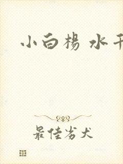 小白杨 水千丞