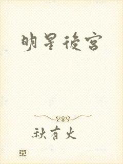 明星后宫