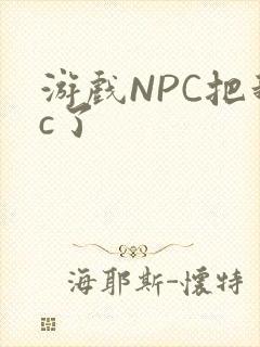 游戏NPC把我c了