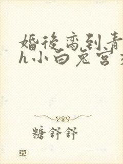 婚后脔到青梅哭h小白兔宫交h