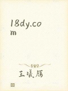 18dy.com