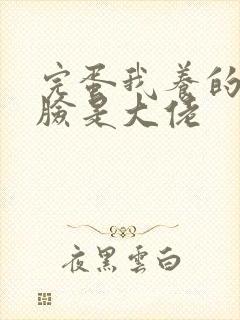 完蛋我养的小白脸是大佬