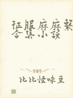 征服麻麻系列大合集小说