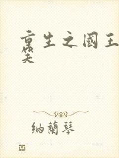 重生之国王的微笑